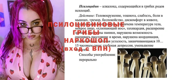 ПСИЛОЦИБИНОВЫЕ ГРИБЫ Покачи