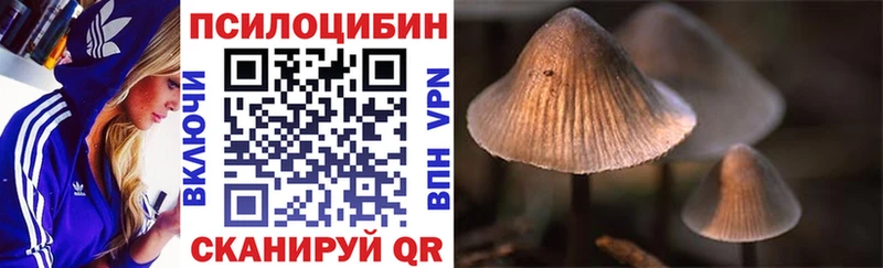 Галлюциногенные грибы MAGIC MUSHROOMS  Стрежевой 