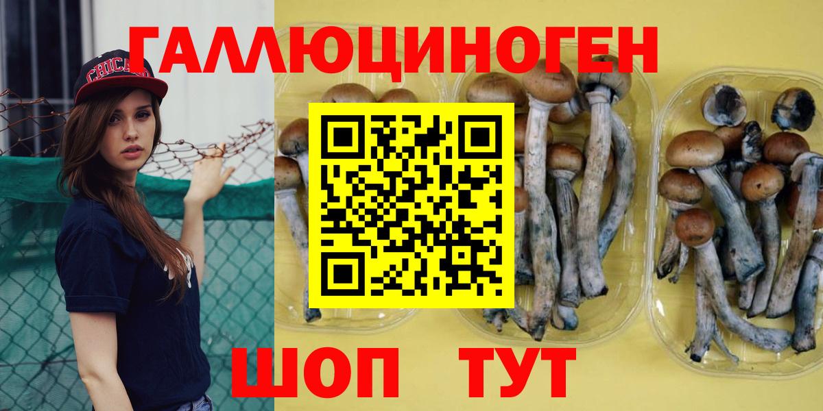 Псилоцибиновые грибы Psilocybe  Стрежевой 